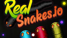 Real Snakes.io