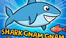 Shark Gnam Gnam