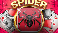 Spider Solitaire Plus