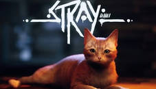 Stray