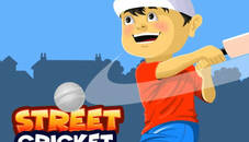 Street Cricket