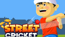 Street Cricket