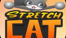 STRETCH CAT 3D