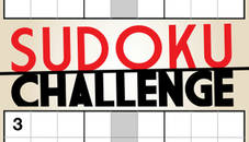 Sudoku Challenge