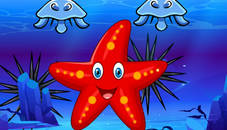 Survival Starfish