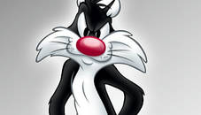 Sylvester Dress Up