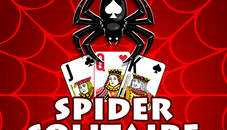 The Spider Solitaire