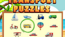 Transport Puzzles