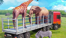 Truck Driving Animal Transport