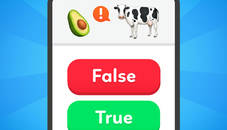 True False - Quiz