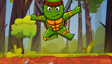 Turtle Ninja