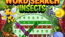 Word Search Insects