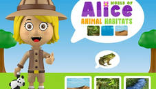 World of Alice  Animal Habitat